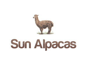Logo Design by ugur elimsa