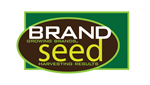 Logo Design by Affordable Graphics for BrandSeed | Design #20611