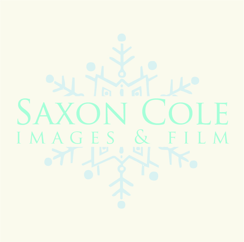 Logo Design by Design Possibilities for this project | Design #459557