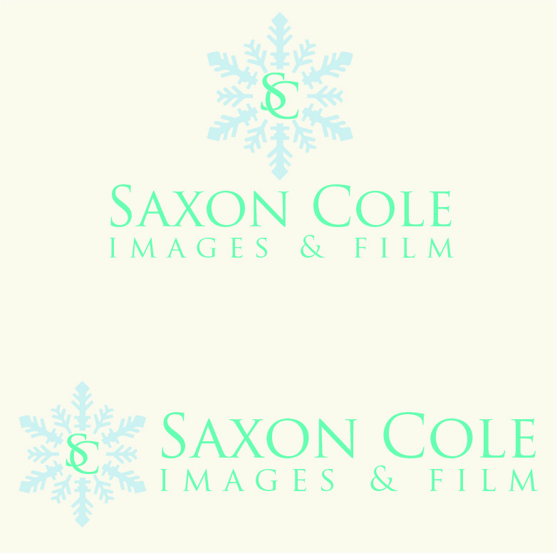 Diseño de Logo por Design Possibilities para este proyecto | Diseño #459568