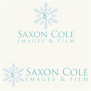 Diseño de Logo por Design Possibilities para este proyecto | Diseño: #459568