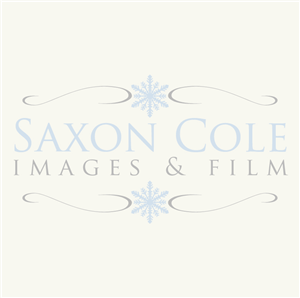 Diseño de Logo por Design Possibilities para este proyecto | Diseño: #459569