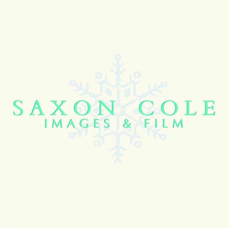 Diseño de Logo por Design Possibilities para este proyecto | Diseño #459576