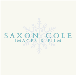 Diseño de Logo por Design Possibilities para este proyecto | Diseño: #459576