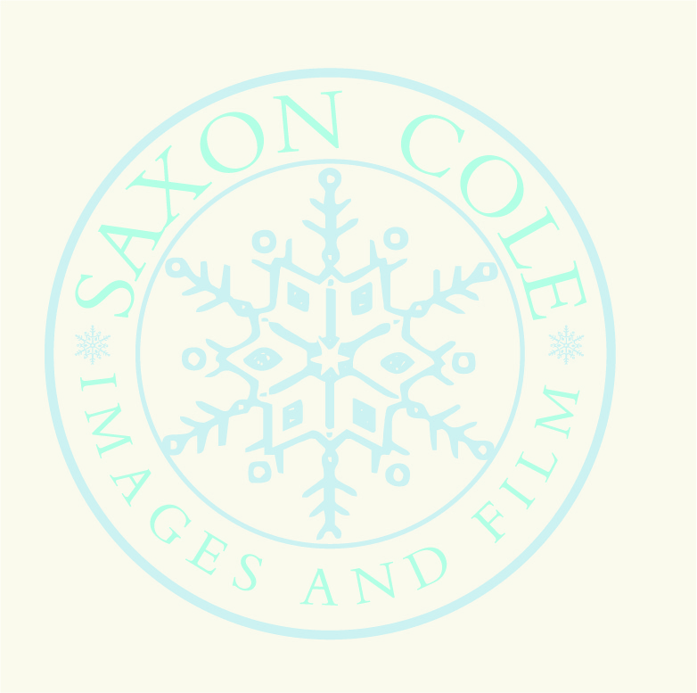 Diseño de Logo por Design Possibilities para este proyecto | Diseño #459588