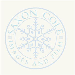 Diseño de Logo por Design Possibilities para este proyecto | Diseño: #459588