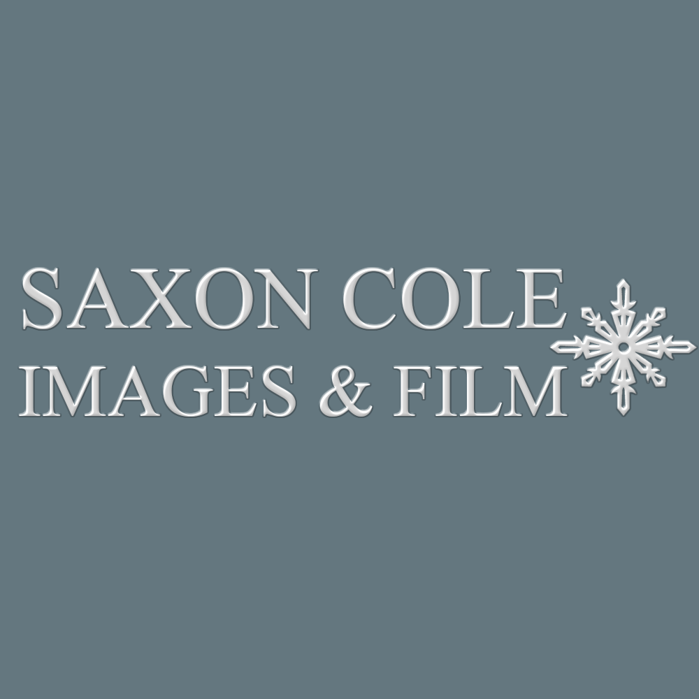 Diseño de Logo por LDN Design Studio para este proyecto | Diseño #461096