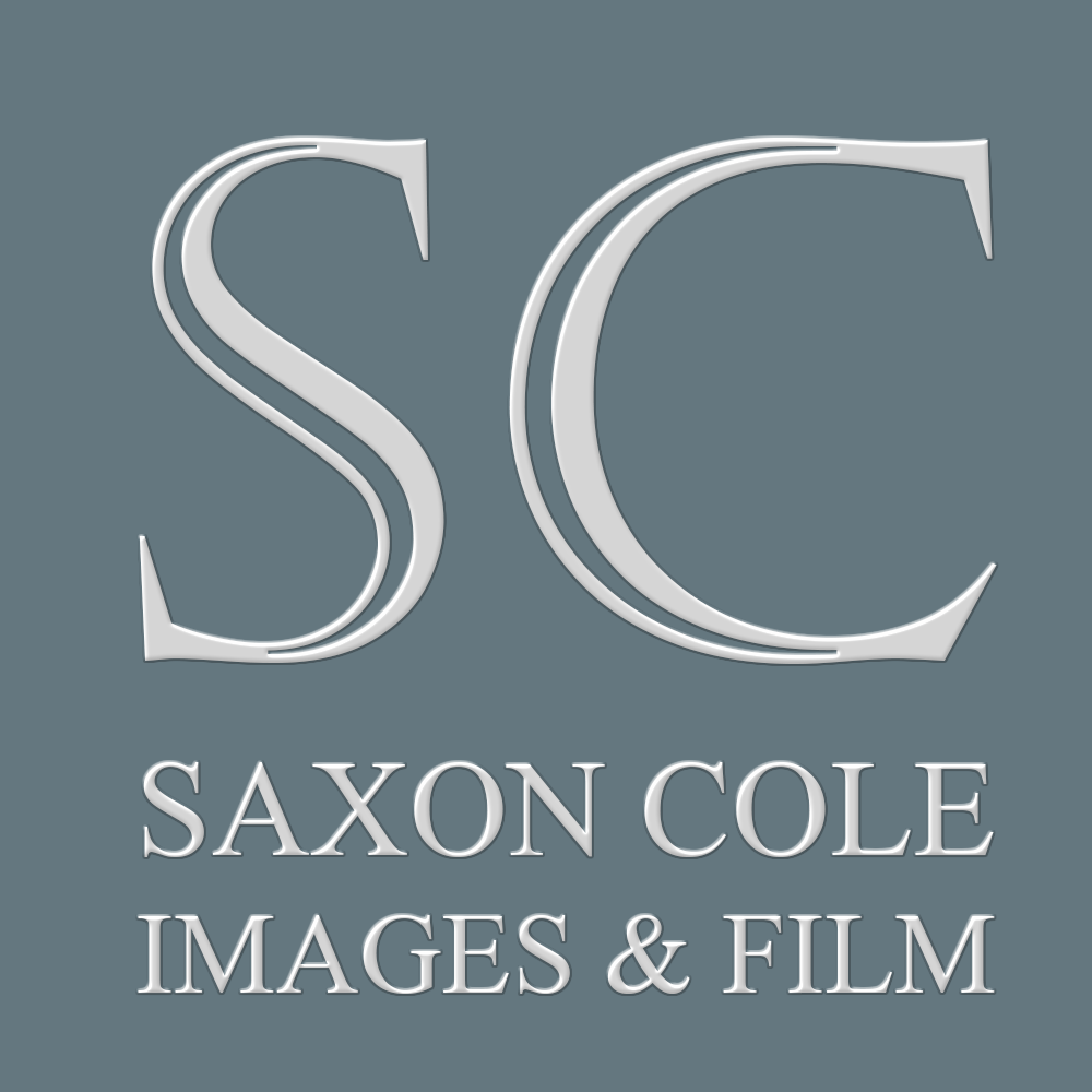 Logo Design by LDN Design Studio for this project | Design #461104