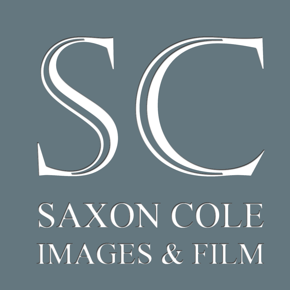 Logo Design by LDN Design Studio for this project | Design #461112