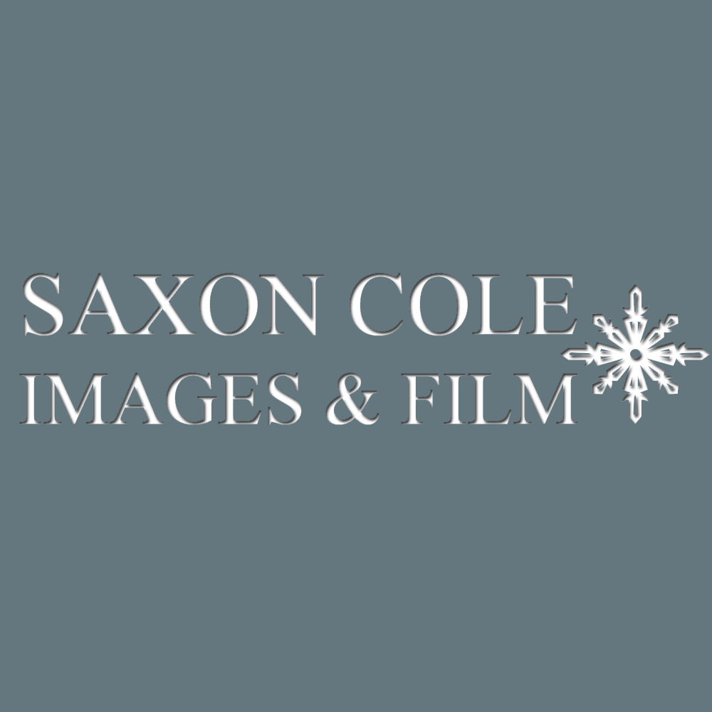 Logo Design by LDN Design Studio for this project | Design #461121