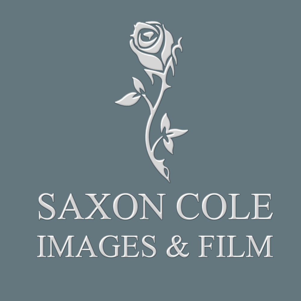 Diseño de Logo por LDN Design Studio para este proyecto | Diseño #461186