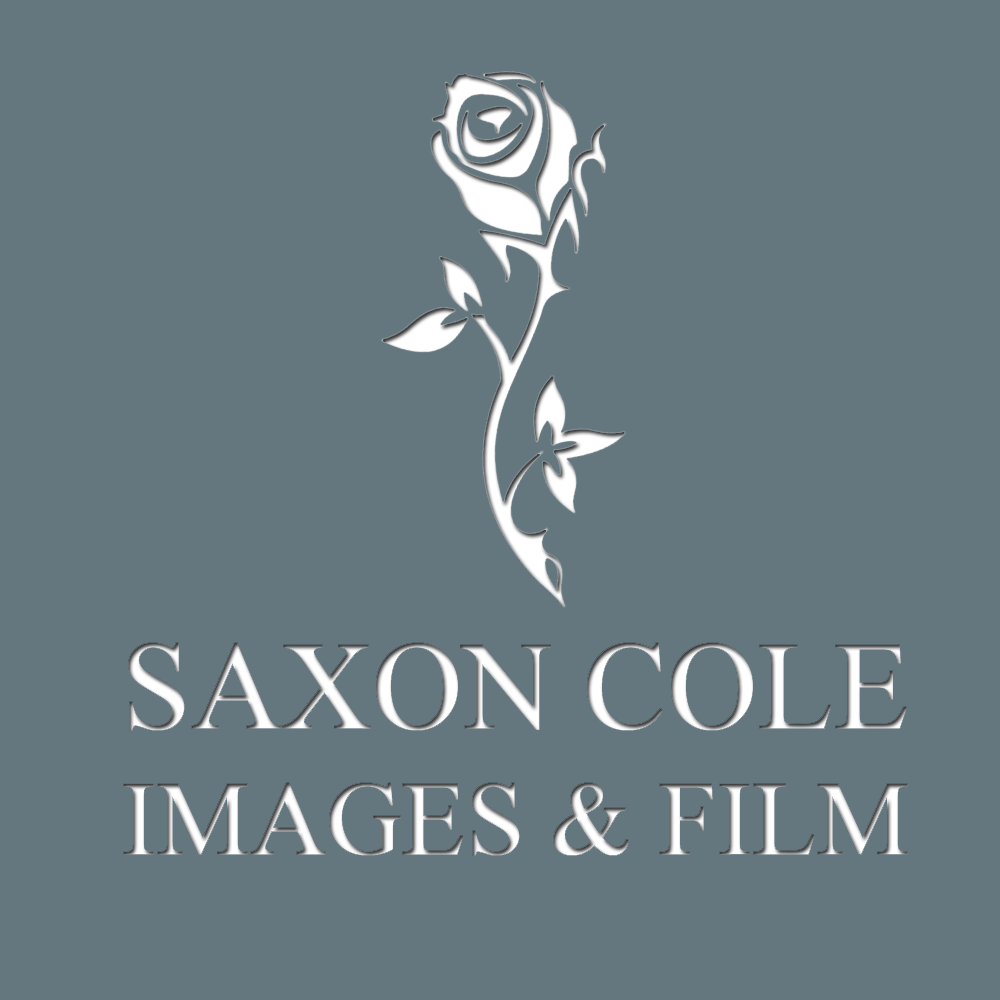 Logo Design by LDN Design Studio for this project | Design #461193