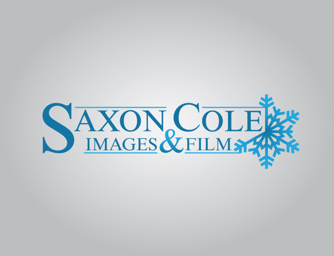 Logo Design by rtfinklea for this project | Design #453756