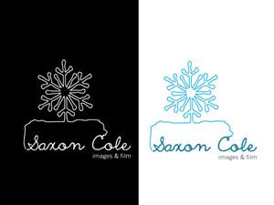 Logo Design by Shine