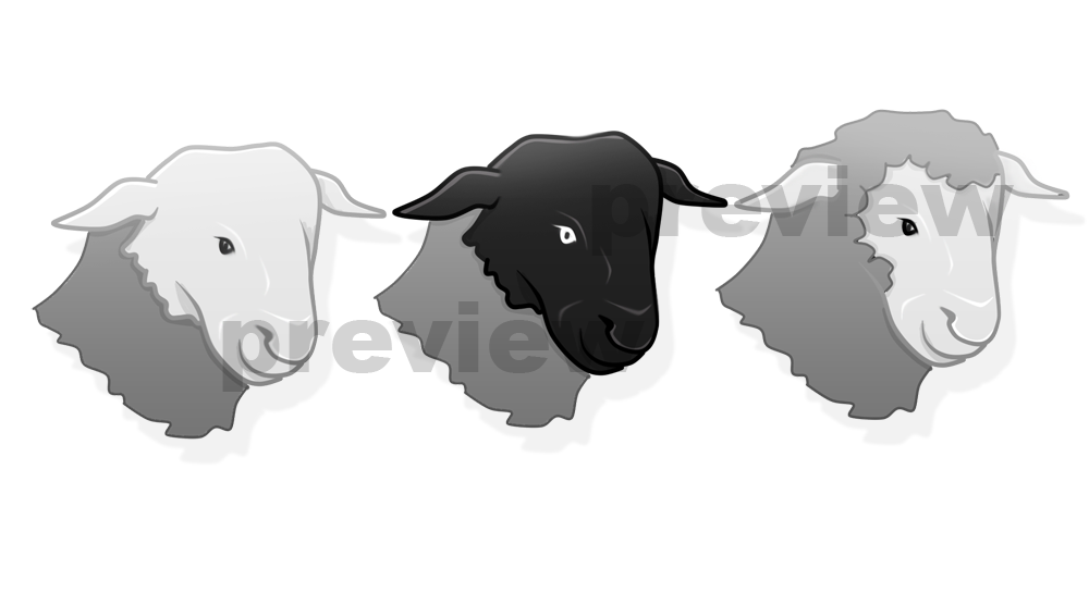 Graphic Design by SamyPhotoshop for this project | Design #10387761