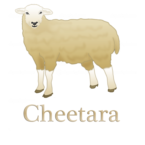 Graphic Design by SamyPhotoshop for this project | Design #10438292