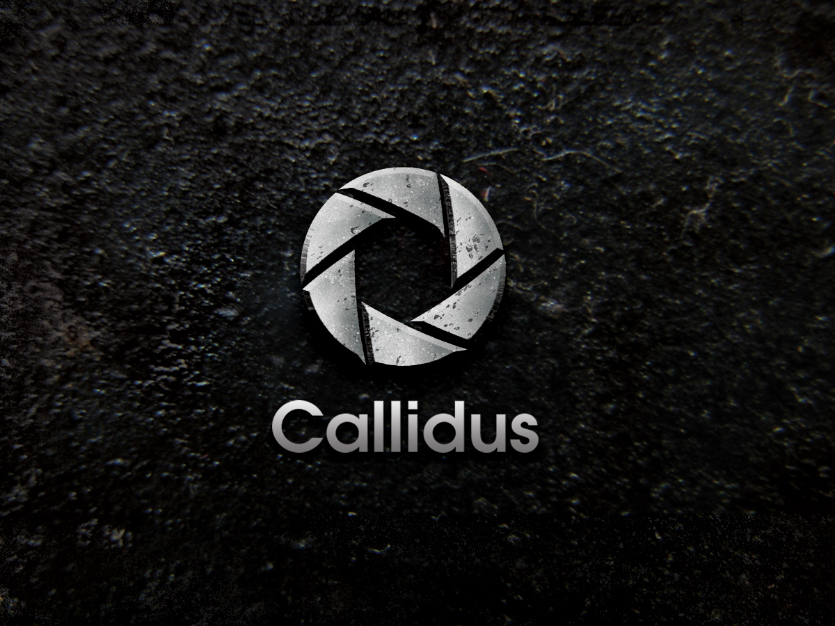 Logo Design by spontaneous for Callidus Resolution  | Design #10317006