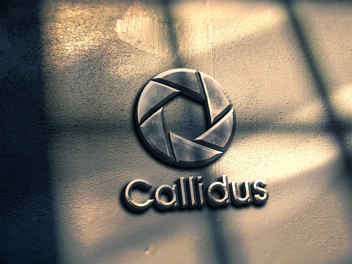 Logo Design by spontaneous for Callidus Resolution  | Design #10363185