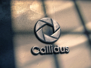 Logo Design by spontaneous for Callidus Resolution  | Design: #10380421