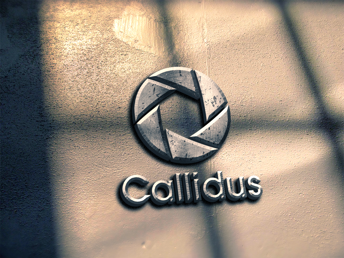 Design de Logo par spontaneous pour Callidus Resolution  | Design #10380618