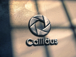 Logo Design by spontaneous for Callidus Resolution  | Design: #10380618