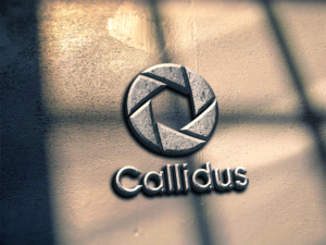 Logo Design by spontaneous for Callidus Resolution  | Design: #10380801