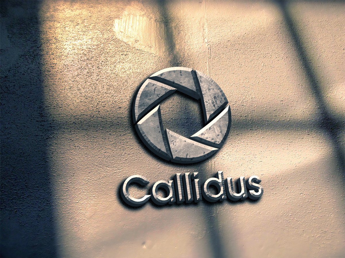 Logo Design by spontaneous for Callidus Resolution  | Design #10380815