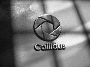 Logo Design by spontaneous for Callidus Resolution  | Design: #10422473