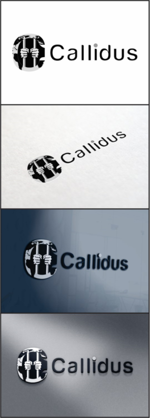 Logo Design by DG for Callidus Resolution  | Design: #10344790
