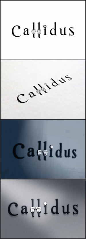 Logo Design by DG for Callidus Resolution  | Design: #10344792