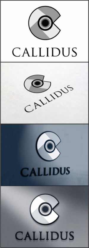 Logo Design by DG for Callidus Resolution  | Design: #10344793