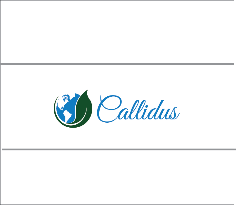 Design de Logo par Tere G artwork pour Callidus Resolution  | Design #10281253