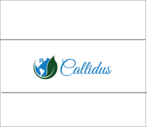 Logo Design by Tere G artwork for Callidus Resolution  | Design: #10281253