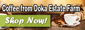 Banner Ad Design by jshan for this project | Design: #2172726