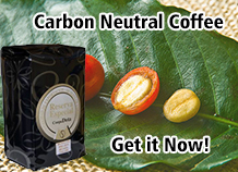 Diseño De Banner Publicitario por roopaljain para este proyecto | Diseño: #2184530