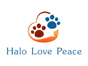 Logo Design by equiDesign