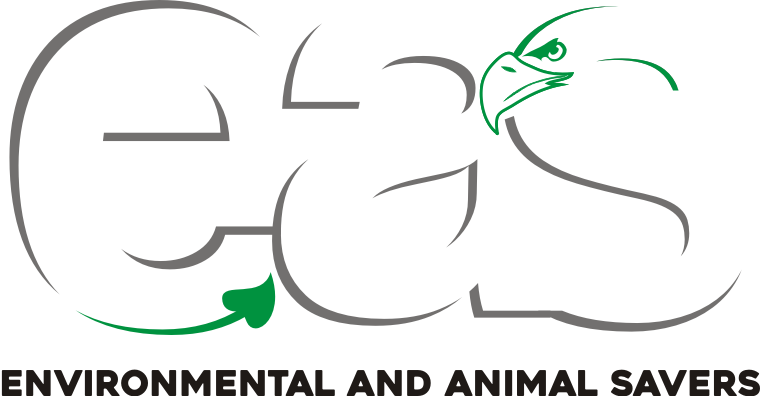 Logo Design by nemanadesign for this project | Design #10312611