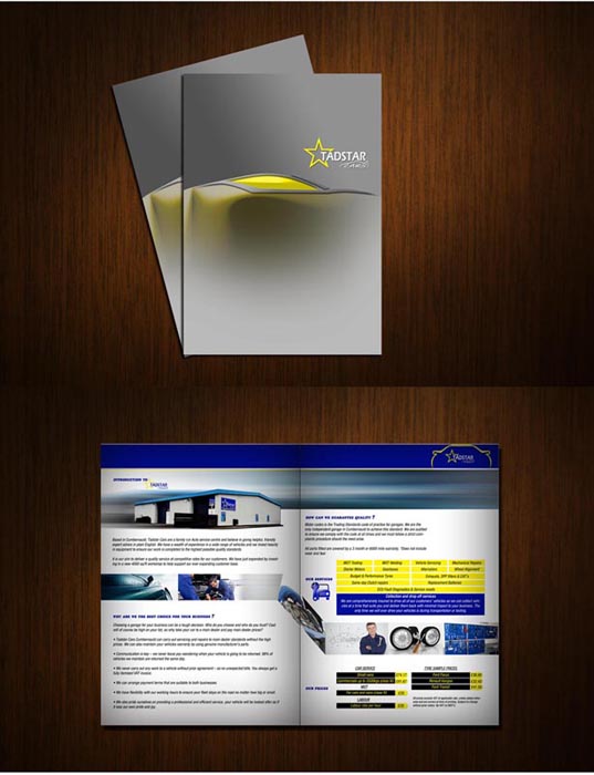 Design de Brochure par KAS pour Tadstar Ltd | Design #2173948
