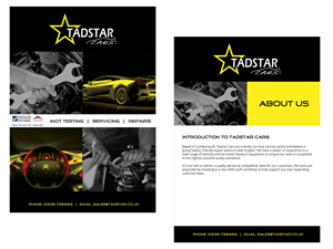 Design de Brochure par roopaljain pour Tadstar Ltd | Design #2241824