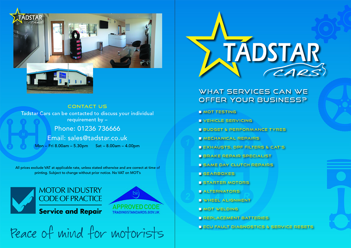Design de Brochure par peterdesign pour Tadstar Ltd | Design #2232908