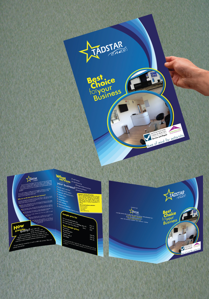 Diseño de Brochure por Impressive Sol para Tadstar Ltd | Diseño #2210075