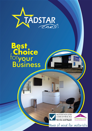 Design de Brochure par Impressive Solutions pour Tadstar Ltd | Design : #2210077