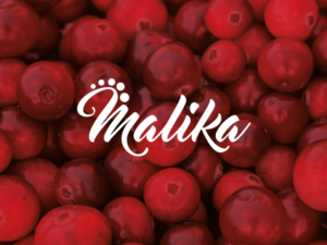 Logo Design by Manu for this project | Design: #10419413