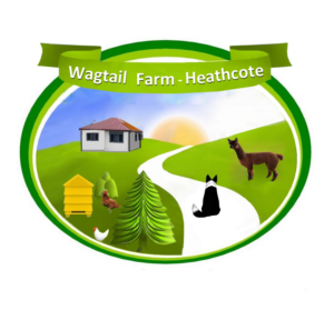 Logo Design by designerone