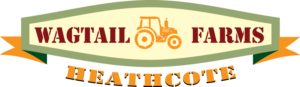 Logo Design by Susie Basso