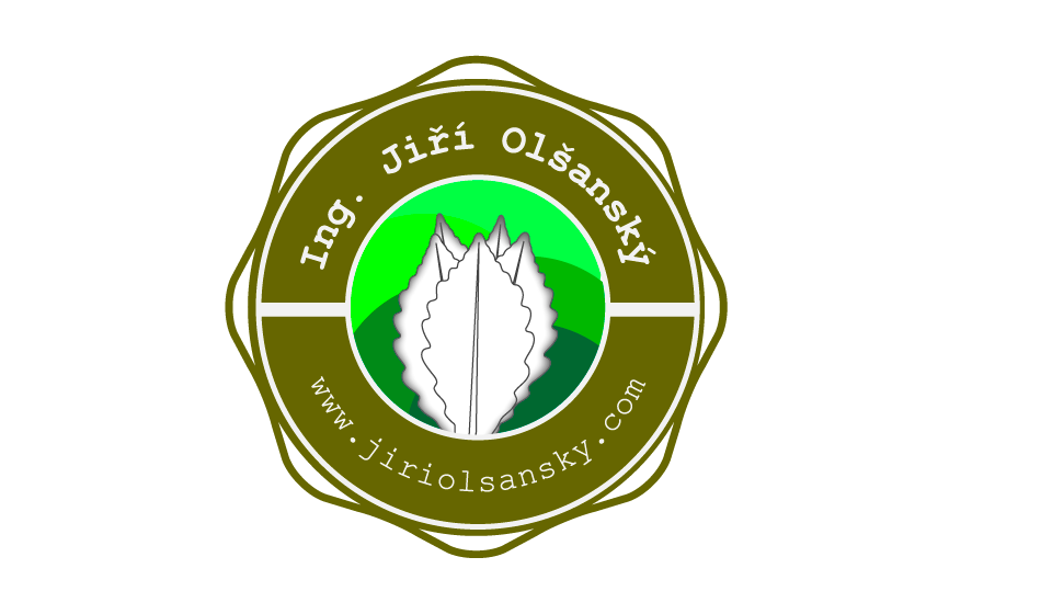 Logo Design by VM_Designz for this project | Design #10319497