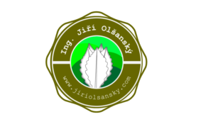 Logo Design by Broken_Needle for this project | Design #10319497
