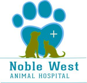 Logo Design by Websaar Solutions