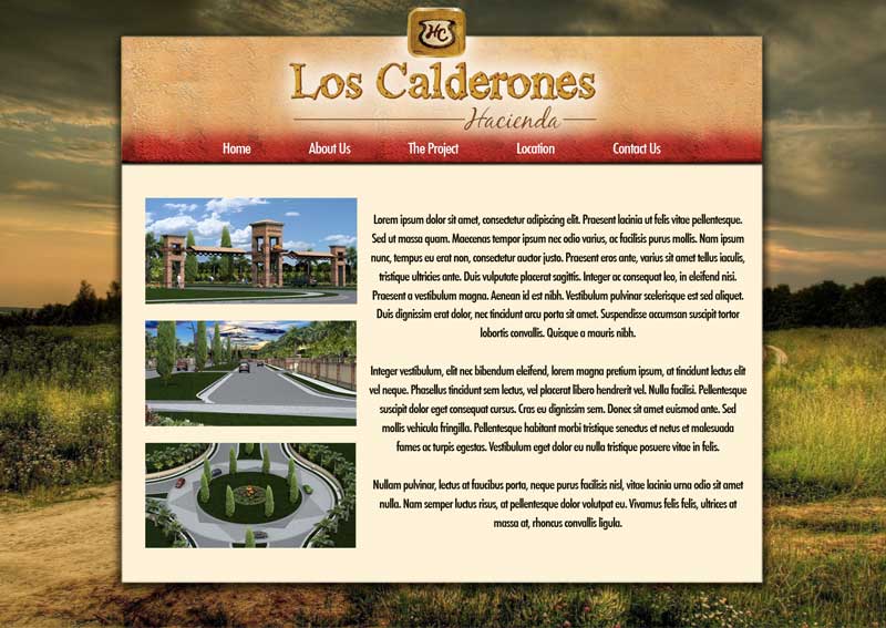 Web Design by LFS Designs for this project | Design #2222713