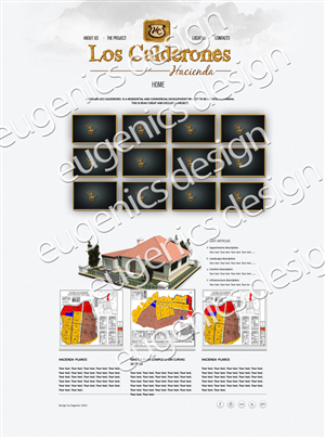 Web Design by Eugene for this project | Design: #2177837